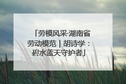 劳模风采·湖南省劳动模范｜胡诗学：碧水蓝天守护者