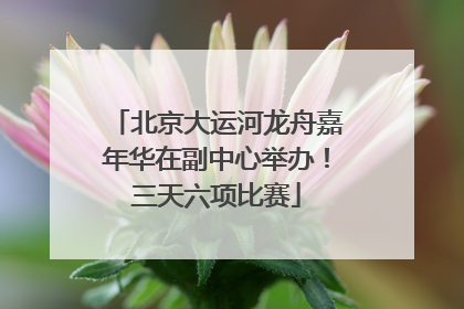 北京大运河龙舟嘉年华在副中心举办！三天六项比赛