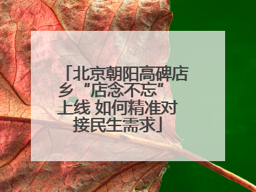 北京朝阳高碑店乡“店念不忘” 上线 如何精准对接民生需求