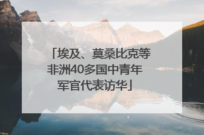 埃及、莫桑比克等非洲40多国中青年军官代表访华