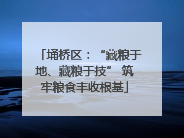 埇桥区：“藏粮于地、藏粮于技” 筑牢粮食丰收根基