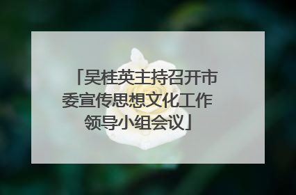 吴桂英主持召开市委宣传思想文化工作领导小组会议