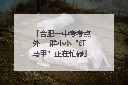 合肥一中考考点外 一群小小“红马甲”正在忙碌
