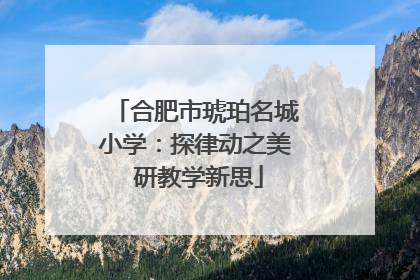 合肥市琥珀名城小学：探律动之美 研教学新思