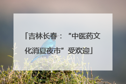 吉林长春：“中医药文化消夏夜市”受欢迎
