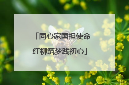 同心家国担使命 红柳筑梦践初心
