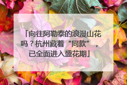 向往阿勒泰的浪漫山花吗？杭州藏着“同款”，已全面进入盛花期