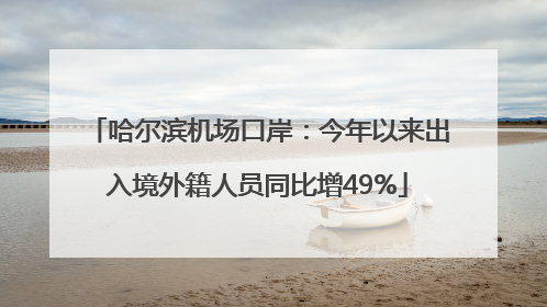 哈尔滨机场口岸：今年以来出入境外籍人员同比增49%
