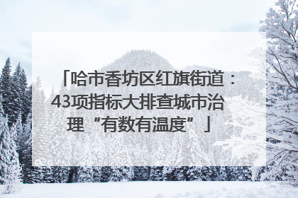 哈市香坊区红旗街道：43项指标大排查城市治理“有数有温度”
