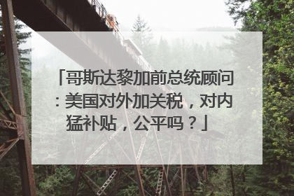 哥斯达黎加前总统顾问：美国对外加关税，对内猛补贴，公平吗？