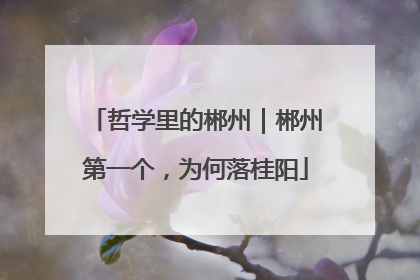 哲学里的郴州｜郴州第一个，为何落桂阳