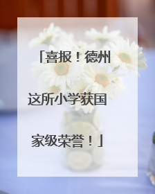 喜报！德州这所小学获国家级荣誉！