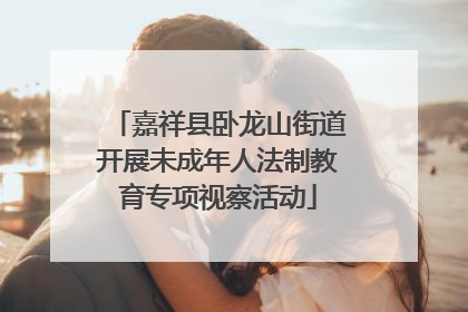 嘉祥县卧龙山街道开展未成年人法制教育专项视察活动
