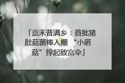 嘉禾普满乡：首批猪肚菇菌棒入棚 “小蘑菇”撑起致富伞
