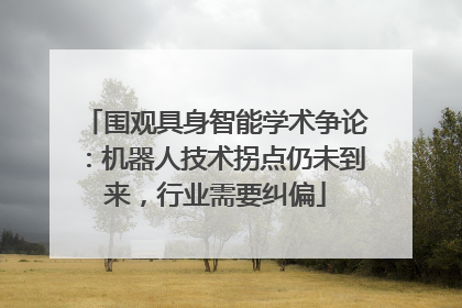 围观具身智能学术争论：机器人技术拐点仍未到来，行业需要纠偏