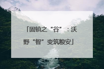 固镇之“谷”：沃野“智”变筑粮安