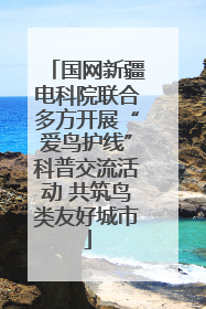 国网新疆电科院联合多方开展“爱鸟护线”科普交流活动 共筑鸟类友好城市