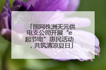 国网株洲天元供电支公司开展“e起节电”惠民活动，共筑清凉夏日