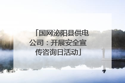 国网泌阳县供电公司：开展安全宣传咨询日活动