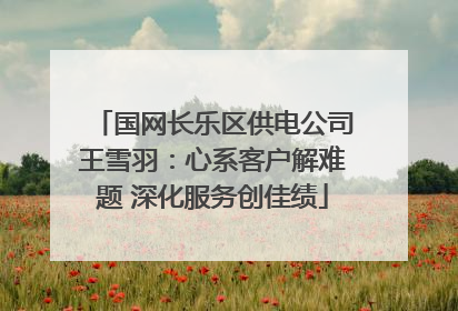 国网长乐区供电公司王雪羽：心系客户解难题 深化服务创佳绩