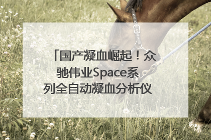 国产凝血崛起！众驰伟业Space系列全自动凝血分析仪获国际领先认证！