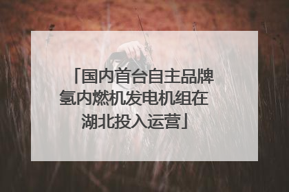 国内首台自主品牌氢内燃机发电机组在湖北投入运营