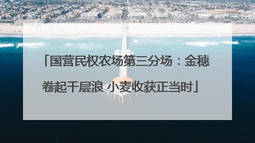 国营民权农场第三分场：金穗卷起千层浪 小麦收获正当时