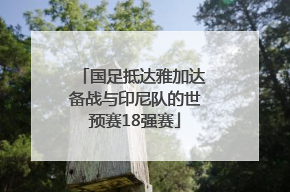 国足抵达雅加达备战与印尼队的世预赛18强赛