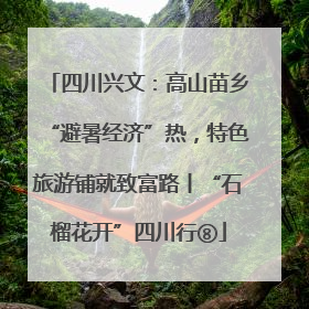 四川兴文：高山苗乡“避暑经济”热，特色旅游铺就致富路丨“石榴花开”四川行⑧