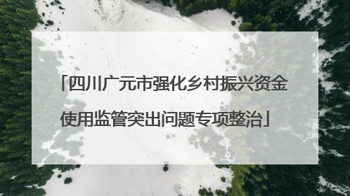 四川广元市强化乡村振兴资金使用监管突出问题专项整治