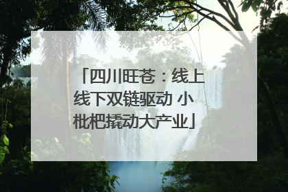 四川旺苍：线上线下双链驱动 小枇杷撬动大产业