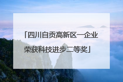 四川自贡高新区一企业荣获科技进步二等奖