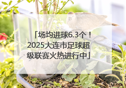 场均进球6.3个！2025大连市足球超级联赛火热进行中