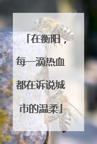 在衡阳，每一滴热血都在诉说城市的温柔