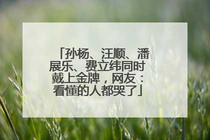 孙杨、汪顺、潘展乐、费立纬同时戴上金牌，网友：看懂的人都哭了