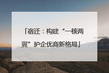 宿迁：构建“一核两翼”护企优商新格局