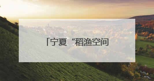 宁夏“稻渔空间”开园 解锁初夏“稻田游”