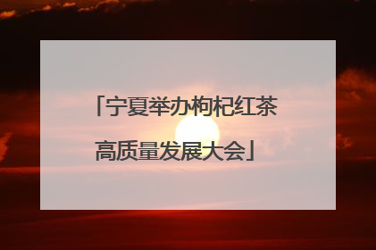 宁夏举办枸杞红茶高质量发展大会