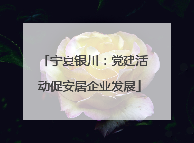 宁夏银川：党建活动促安居企业发展