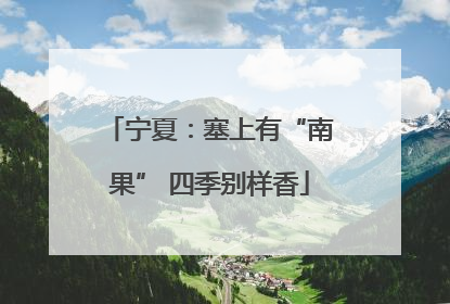 宁夏：塞上有“南果” 四季别样香