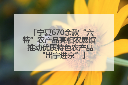 宁夏670余款“六特”农产品亮相农展馆 推动优质特色农产品“出宁进京”