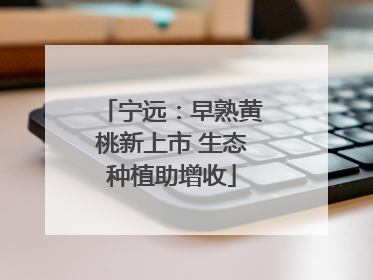 宁远：早熟黄桃新上市 生态种植助增收