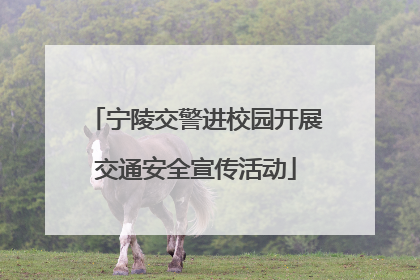 宁陵交警进校园开展交通安全宣传活动