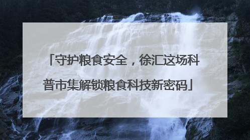 守护粮食安全，徐汇这场科普市集解锁粮食科技新密码