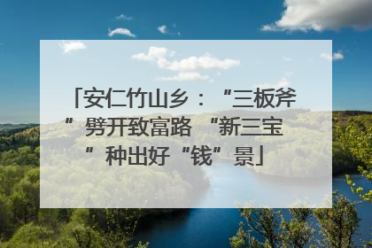 安仁竹山乡：“三板斧”劈开致富路 “新三宝”种出好“钱”景