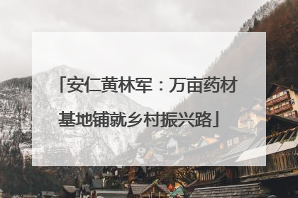 安仁黄林军：万亩药材基地铺就乡村振兴路