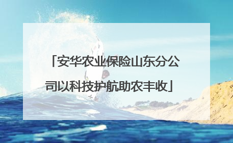 安华农业保险山东分公司以科技护航助农丰收