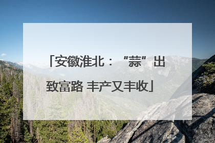 安徽淮北：“蒜”出致富路 丰产又丰收