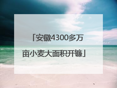 安徽4300多万亩小麦大面积开镰