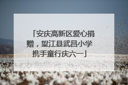 安庆高新区爱心捐赠，望江县武昌小学携手童行庆六一